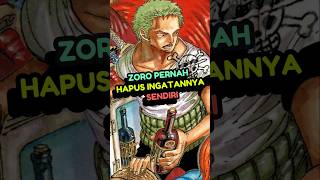 Zoro Hapus Ingatannya anime reviewanime onepiece [upl. by Hartzke424]