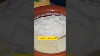 how to make curd  short feed  Homemade  Sweet and Sour 😋 [upl. by Huey40]