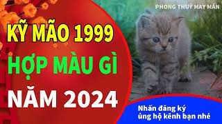 Tuổi Kỷ Mão 1999 hợp với màu gì năm 2024 để mang lại TÀI LỘC MAY MẮN [upl. by Armin]