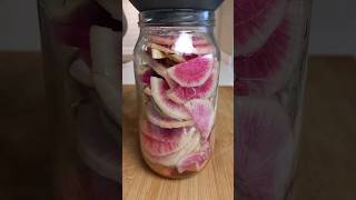 Маринованная редька Пикантная закуска  Pickled Radish shorts [upl. by Salangi]