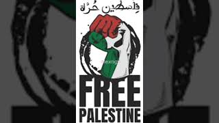 Palestina Menangis TikTok Music 30 MIN LOOP [upl. by Carrol]