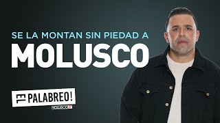 A MOLUSCO le hacen el BU LLY1 NG mas GRANDE de la historia ElPalabreo [upl. by Ancell]