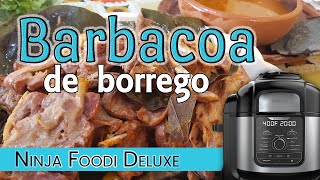 🔴 Esta Barbacoa está para chuparse los dedos de buena  estilo Hidalgo [upl. by Neleb614]