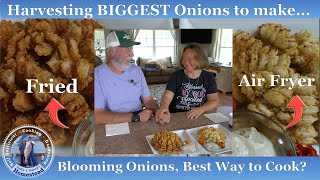 How To Make Blooming Onions  2 Ways to Cook [upl. by Anigriv]