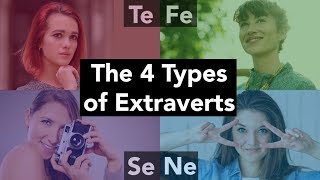 The 4 Types of Extraverts [upl. by Fital]