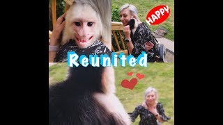 Capuchin Monkey Missed Owner SO MUCH [upl. by Refinnaj213]