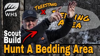 How To Build And Hunt A Bedding Area  Right Now [upl. by Zahc174]