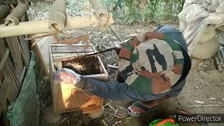 how to make bee smoker at home [upl. by Ingold262]