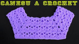 PASO A PASO PARA TEJER CANESÚ A CROCHET [upl. by Nanoc489]