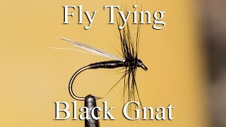 Fly Tying  Black Gnat [upl. by Alistair658]