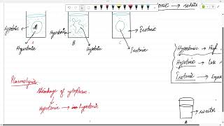 HypertonicHypotonicIsotonicPlasmolysisDeplasmolysis [upl. by Zingg]