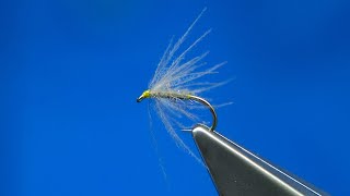 Tying a CDC Waterhen Bloa Soft Hackle Wet Fly with Davie McPhail [upl. by Attalanta]