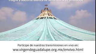 Transmisiones en vivo desde la Basílica de Guadalupe [upl. by Araet889]