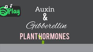 Auxin and Gibberellin Hormones Explained [upl. by Wesle]