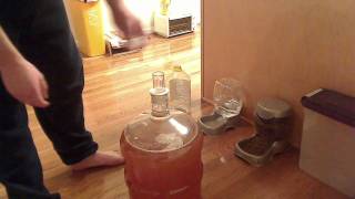 How to Make Apfelwein part 22 [upl. by Carpet]