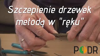 Szczepienie drzewek metodą w quotrękuquot [upl. by Repooc]