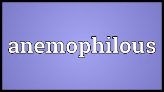 Anemophilous Meaning [upl. by Llerrom]