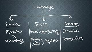 SEMANTICS1 What is Semantics [upl. by Cinimmod]