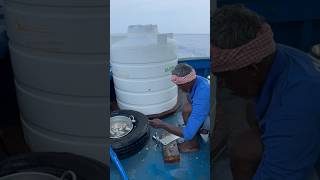 Yummy Gar Fish Curry Making In The Sea seafoodcooking indianoceanfisherman shorts [upl. by Arteid845]