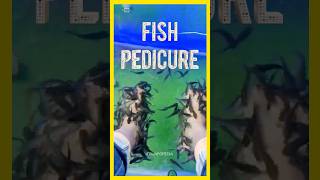 Fish Pedicure Side Effects shorts [upl. by Arrait]