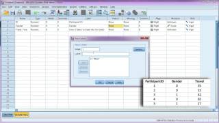 Enter data and define variables in SPSS [upl. by Namhcan934]