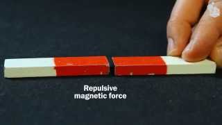 Video Lab Magnetic forces [upl. by Ainnek270]