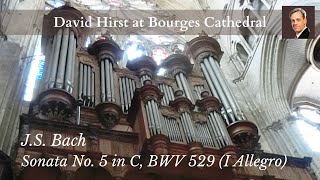 Bach Trio Sonata No 5 in C major BWV 529 Bourges Cathedral pipe organ [upl. by Mcmullan]