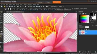 Create Your Own Picture Tubes in PaintShop Pro X6 [upl. by Rustie]