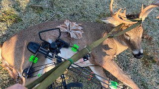 2023 Ohio 8 point down 45 yard shot out of Buzzard Roost Saddle amp Hickory Creek Mini Vertical xbow [upl. by Reffotsirhc]