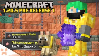 HUGE MACE NERF Update Done New Chambers  Minecraft 1205 Pre Release 1 [upl. by Birecree598]