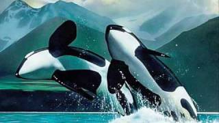 Whale tribute orcas killer whale free willy [upl. by Rooke]