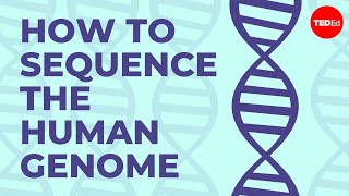 How to sequence the human genome  Mark J Kiel [upl. by Beaumont]