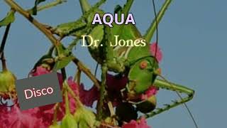 AQUA  Dr Jones [upl. by Harlen]