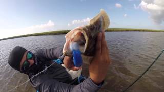 Reel Yakkers  Return to Kayak Fishing  Episode 8 [upl. by Anyala]