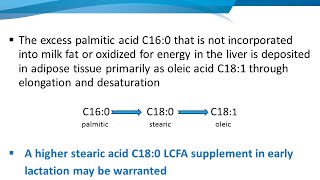 Palmitic amp Stearic Acids Metabolism and Tissue Utilization [upl. by Queridas]