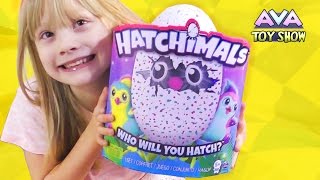 hatchimals hatching video 🐥 [upl. by Cita735]