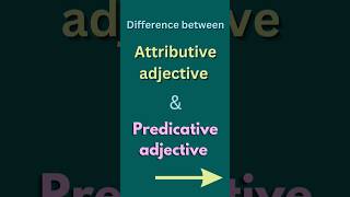 Attributive and predicative adjectiveAttributive examplePredicative example short shorts [upl. by Airehtfele]