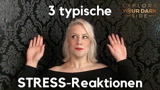 FIGHT FLIGHT FREEZE  3 typische Reaktionen bei Stress GERMAN [upl. by Neehsas]