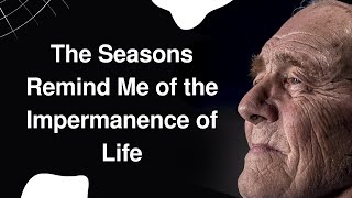 Why Seasons Change The Impermanence of Life [upl. by O'Rourke]