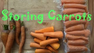 How to Blanch Carrots  Freezing For Storage Technique [upl. by Malachi]