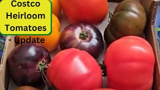 Costco Heirloom Tomatoes  Update [upl. by Mya]