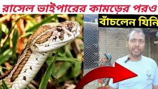 রাসেল ভাইপার সাপের কামড়ের পরও বাঁচলেন  Russells viper snake  Russell viper  snake bite  sap [upl. by Eziechiele]