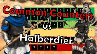 HALBERDIER  Best COMMON Counters  Tierlist  Age of Empires 2 [upl. by Ingeberg]