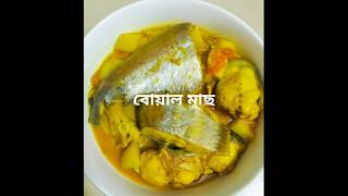 how to make boal macher jhol বোয়াল মাছের রেসিপি আলু দিয়ে বোয়াল মাছের ঝোল 😊😊😋😋 [upl. by Wylie]