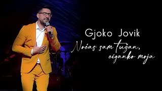 Gjoko Jovik amp orkestar Borka Radivojevića  Noćas sam tužan ciganko moja [upl. by Deron]