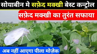 सोयाबीन मे सफ़ेद मक्खी को कैसे कंट्रोल करें  How to control white fly  सफ़ेद मक्खी की दवाई [upl. by Ridglea]