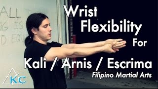 How To Increase Wrist Flexibility  3 MARTIAL ARTS Moves [upl. by Atinahc]