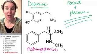 Synapse 9 Methamphetamine [upl. by Chicoine80]