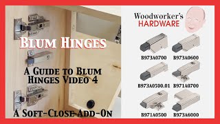 Blum Hinges Series  Installing an Easy to Use SoftClose AddOn [upl. by Ayotol522]