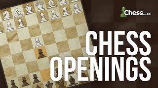 Chess Openings How to Play the Benko Gambit [upl. by Laynad401]